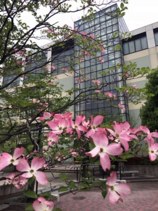 堀川高等学校