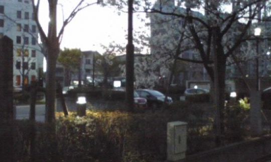 堀川高等学校