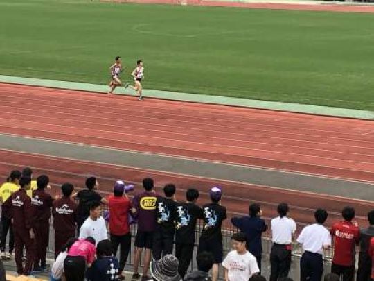 紫野高等学校