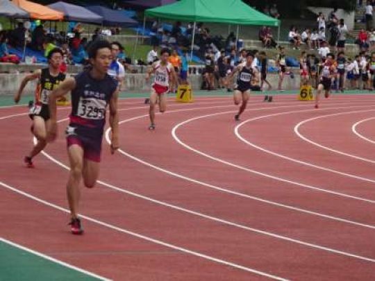 紫野高等学校