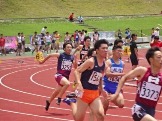 紫野高等学校