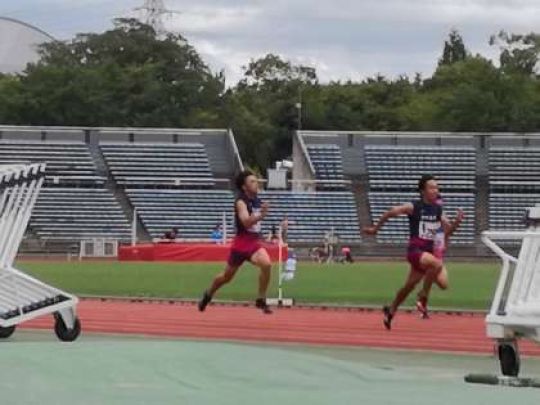 紫野高等学校