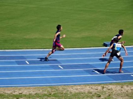 紫野高等学校