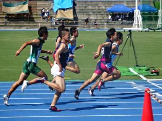 紫野高等学校