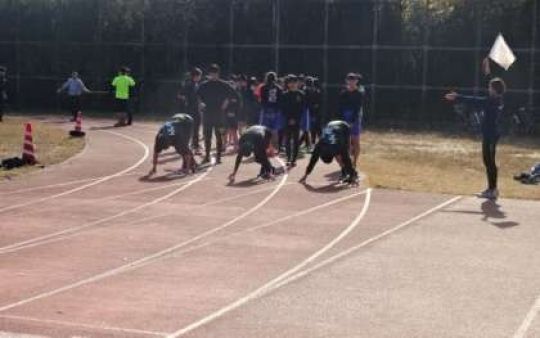 紫野高等学校