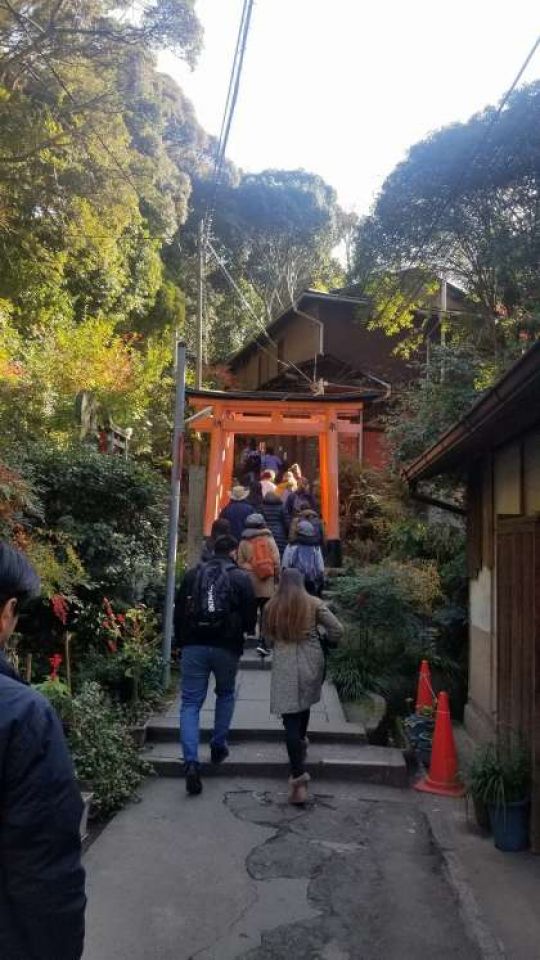 紫野高等学校