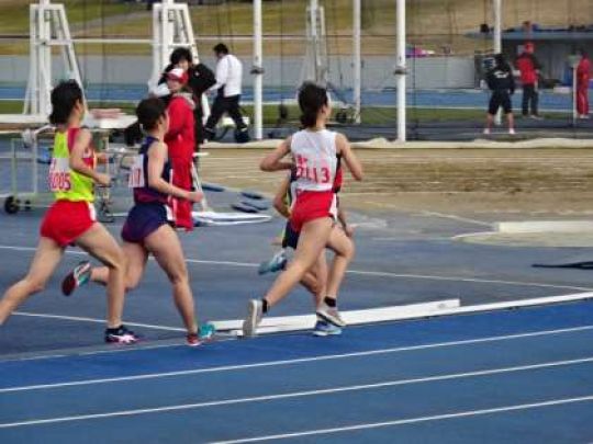紫野高等学校