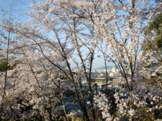京都工学院高等学校
