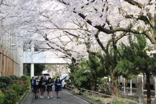塔南高等学校