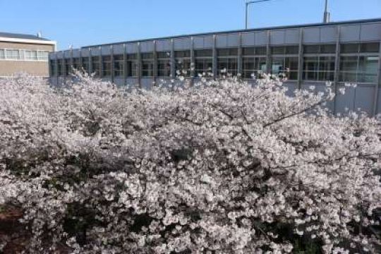 塔南高等学校