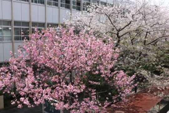 塔南高等学校