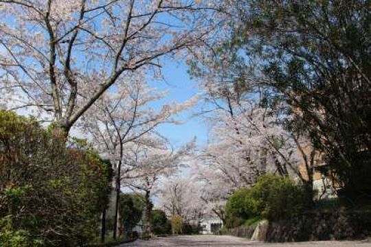 日吉ケ丘高等学校