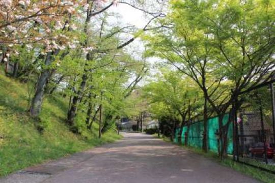 日吉ケ丘高等学校