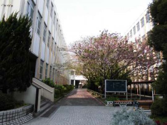 塔南高等学校