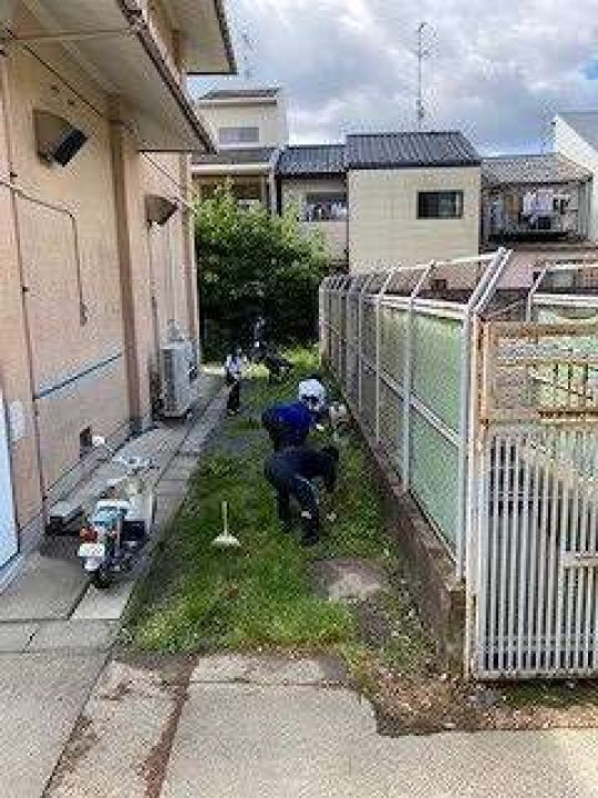 紫野高等学校