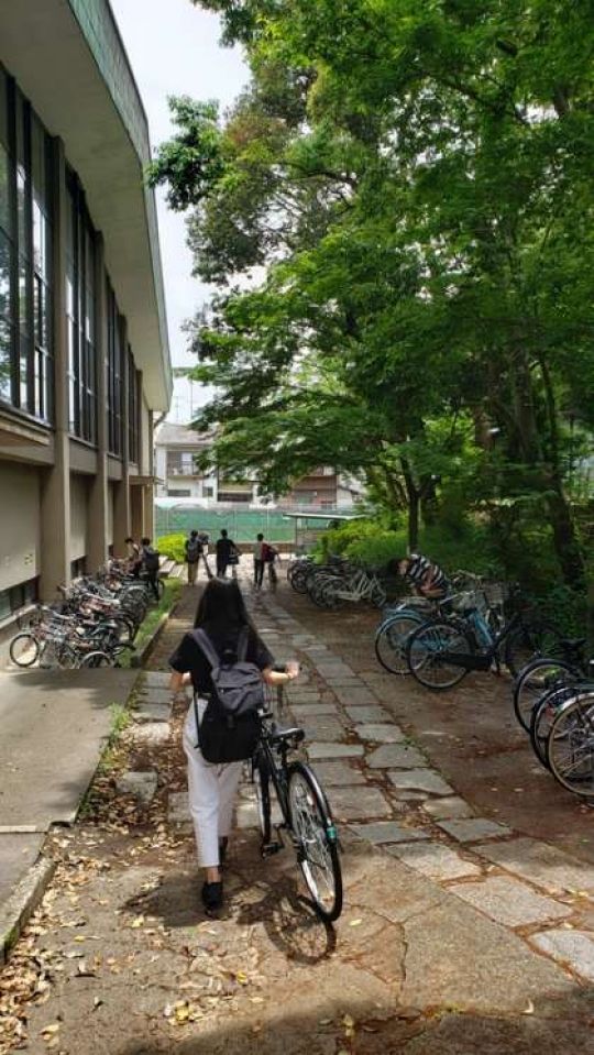 紫野高等学校