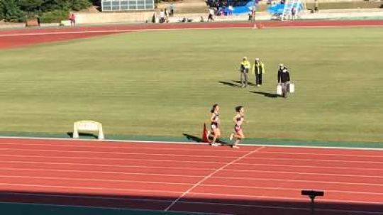 紫野高等学校