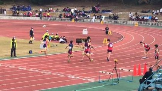 紫野高等学校