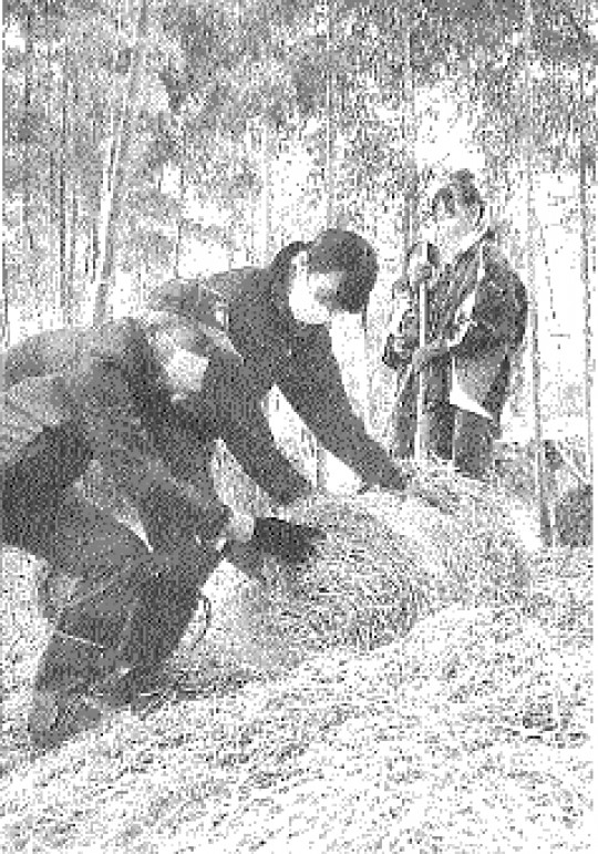 紫野高等学校