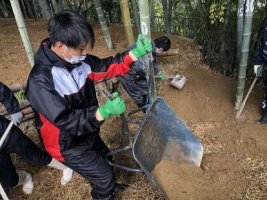 紫野高等学校