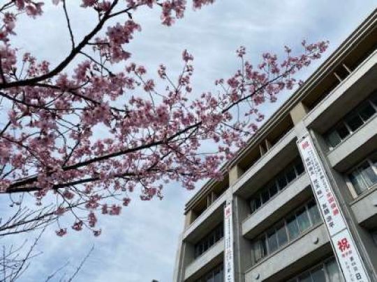 西京高等学校