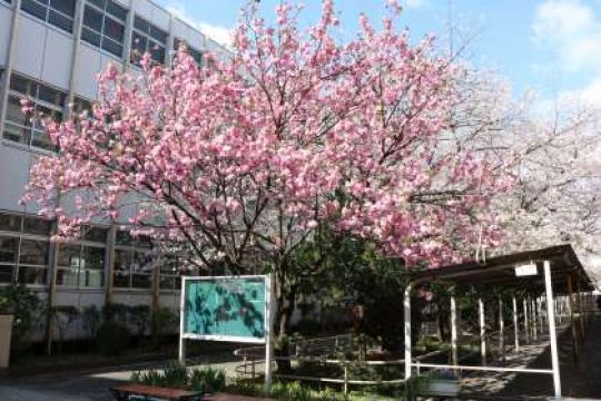塔南高等学校