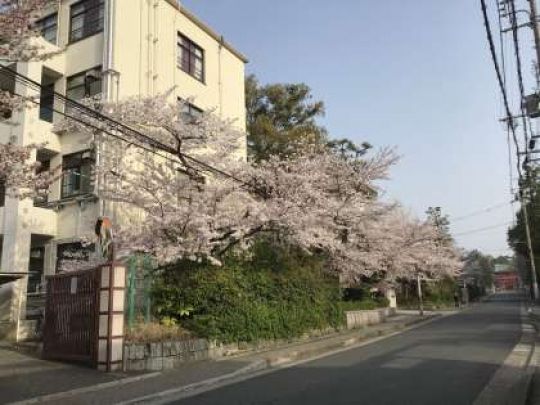 紫野高等学校