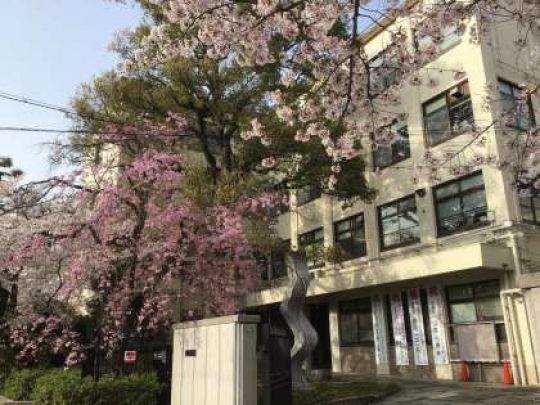 紫野高等学校