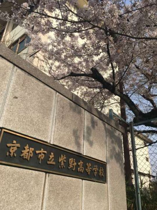 紫野高等学校