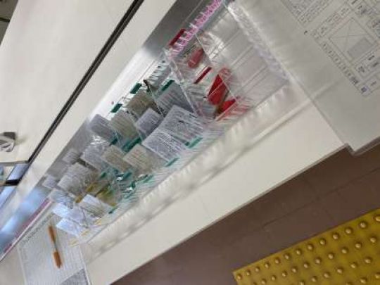 京都堀川音楽高等学校