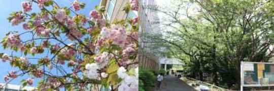 塔南高等学校