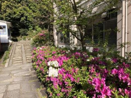 紫野高等学校