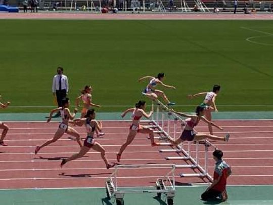 紫野高等学校
