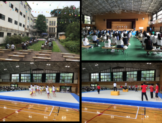 紫野高等学校