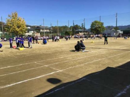 紫野高等学校