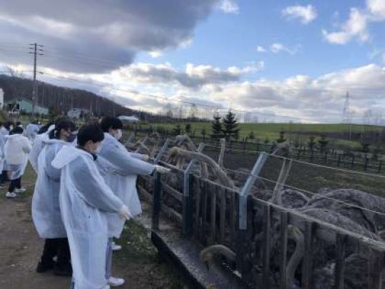 日吉ケ丘高等学校