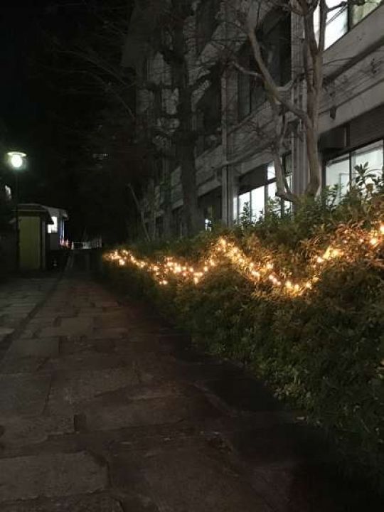 紫野高等学校