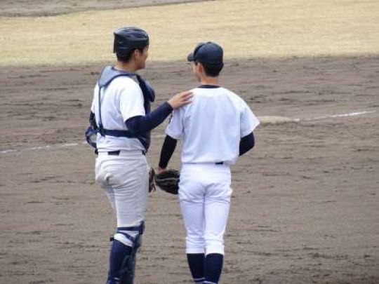 紫野高等学校
