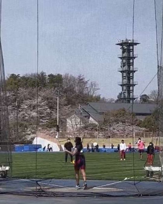紫野高等学校