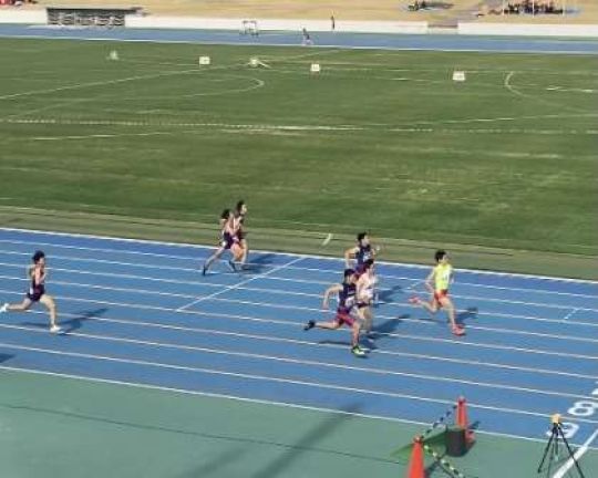 紫野高等学校