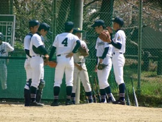 紫野高等学校