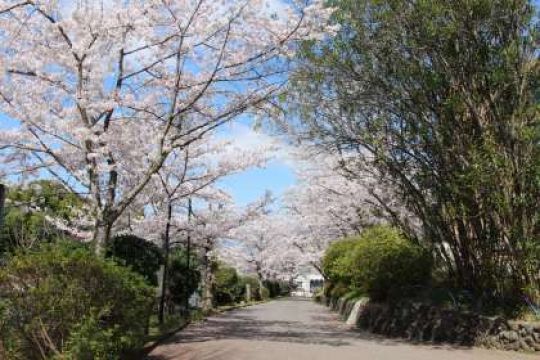 日吉ケ丘高等学校
