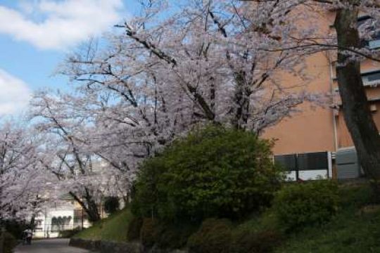 日吉ケ丘高等学校