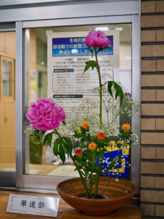 塔南高等学校