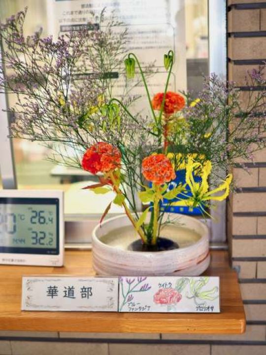 塔南高等学校