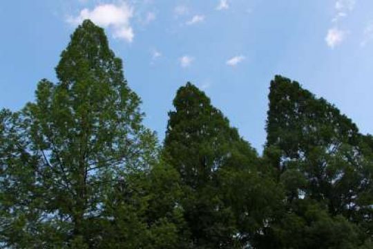 日吉ケ丘高等学校
