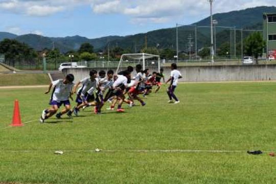 紫野高等学校