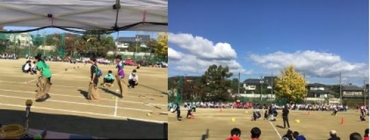 紫野高等学校