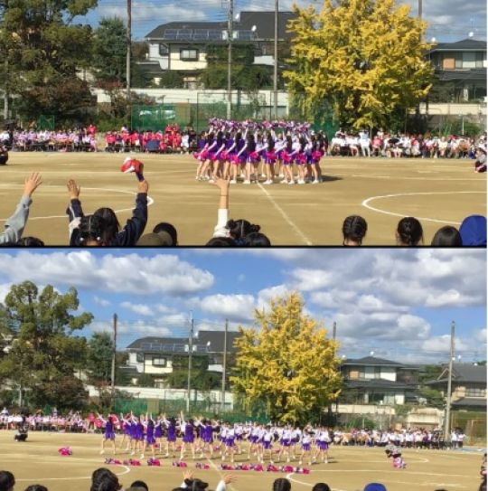 紫野高等学校