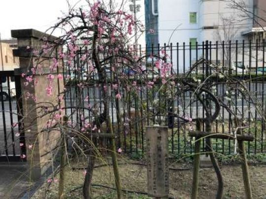 西京高等学校